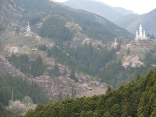 CIMG0173.JPG