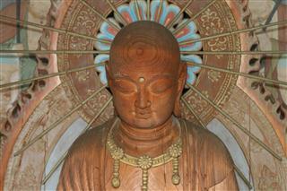 IMG_6787_R.jpg